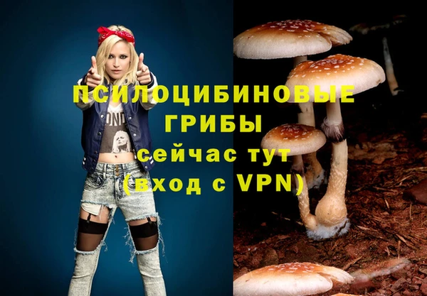 ALPHA-PVP Магадан