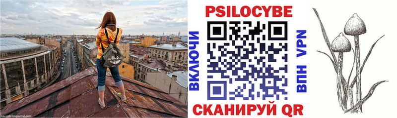 Галлюциногенные грибы Psilocybe  Щёлково 