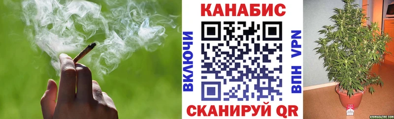 Каннабис Bruce Banner  Щёлково 